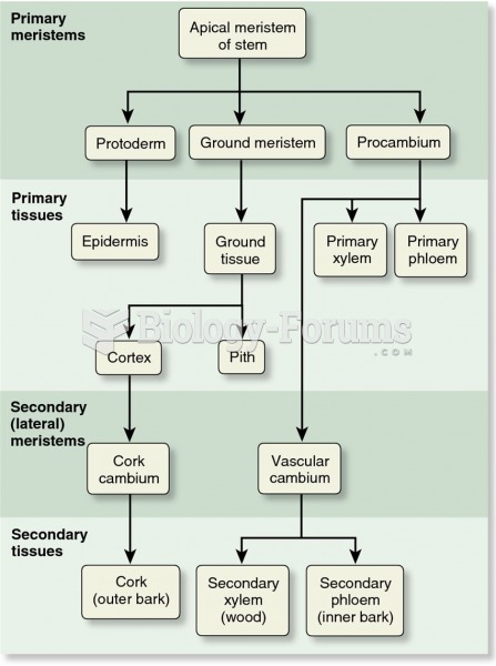 An overview of the process of primary and secondary growth in a woody stem.