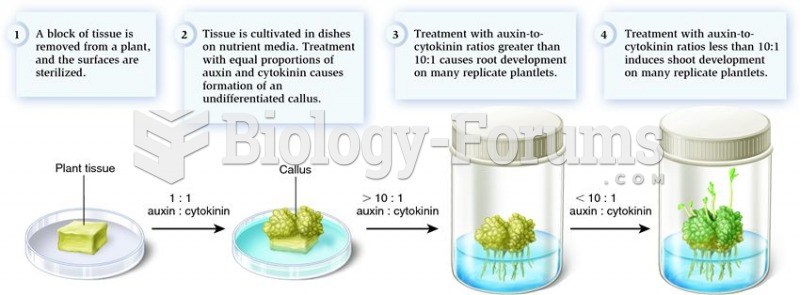 The process of plant tissue culture.