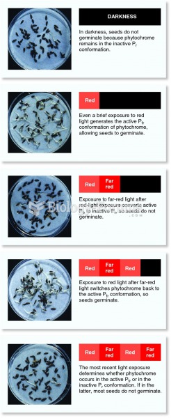 Phytochrome controls germination by responding to red/far red light signals.