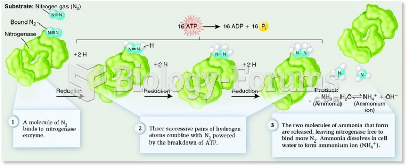 The biological process of nitrogen fixation