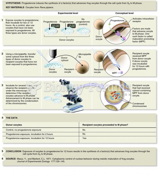 The experimental approach used by Masui and Markert to identify cyclin and cyclin-dependent kinase (