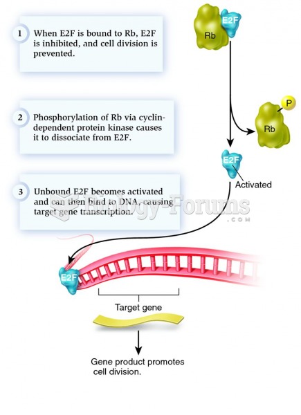 Function of the Rb protein