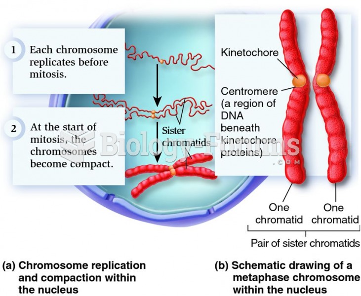 Replication and compaction of chromosomes into pairs of sister chromatids.