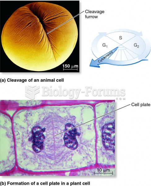 Micrographs showing cytokinesis in animal and plant cells