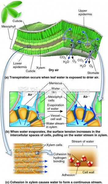 The roles of transpiration, cohesion, adhesion, and tension in long-distance water transport.