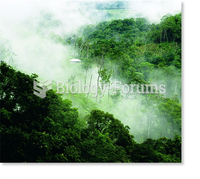 Plant-transpired water vapour mist rising from a tropical rain forest.