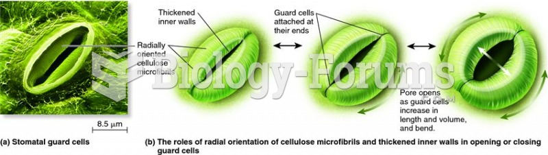 The structure of stomatal guard cells affects their function.