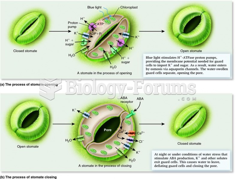 How stomatal pores open and close.