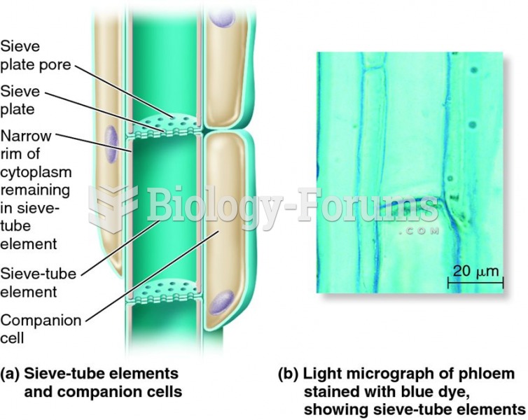 Sieve-tube elements and companion cells in phloem tissue