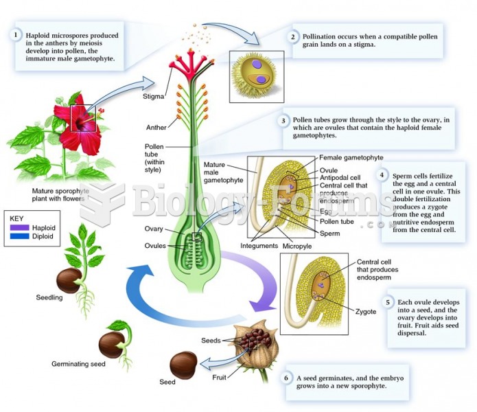 The life cycle of a flowering plant.