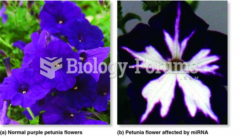 Gene silencing influences flower colour in petunia.