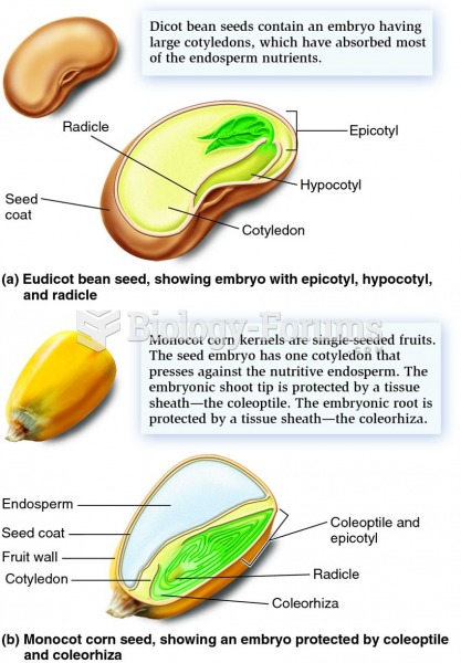Structure of eudicot and monocot seeds