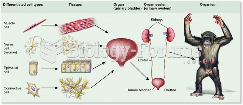 The internal organization of cells, tissues, organs, and organ systems in a mammal.