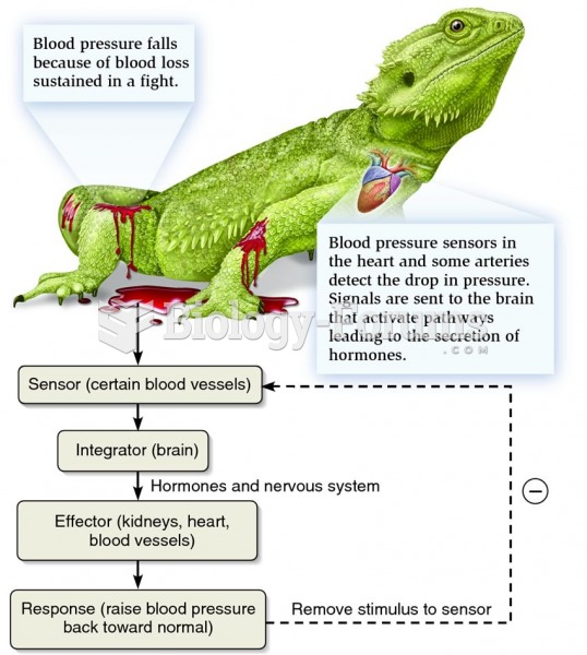 Negative feedback as a mechanism by which homeostatic control systems operate.