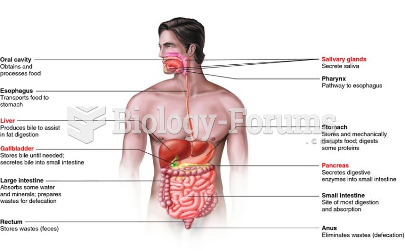 A vertebrate digestive system, as shown in the human.