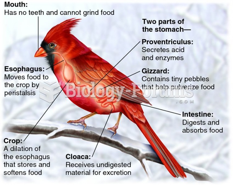 The alimentary canal of birds.