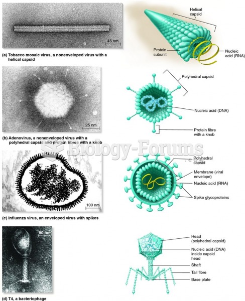 Variations in the structure of viruses.