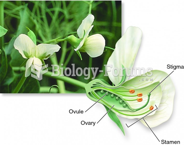 Flower structure in pea plants