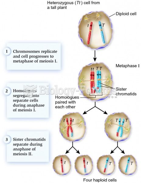 The chromosomal basis of allele segregation.