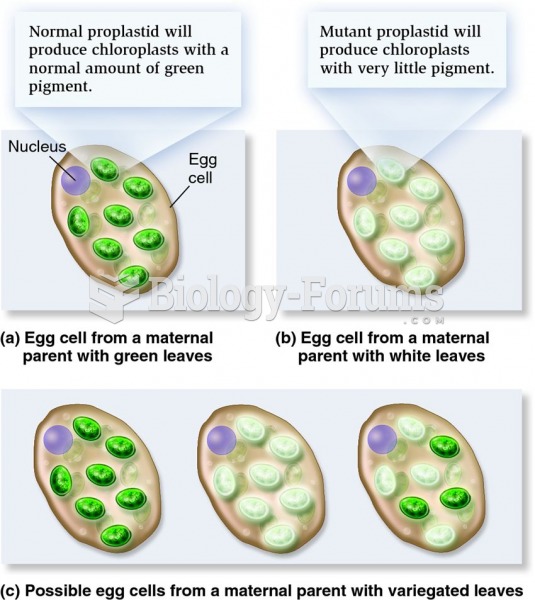 Plastid composition of egg cells from green, white, and variegated four-o'clock plants.