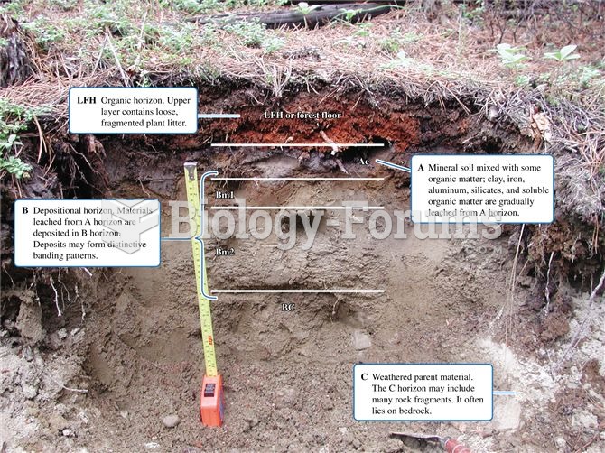 Soil profile exposed in a boreal forest site, showing LFH, A, B, and C horizons.