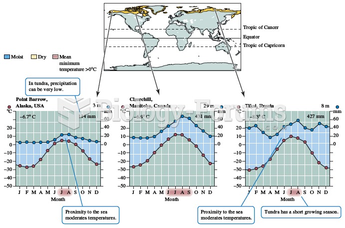 Tundra geography and climate.