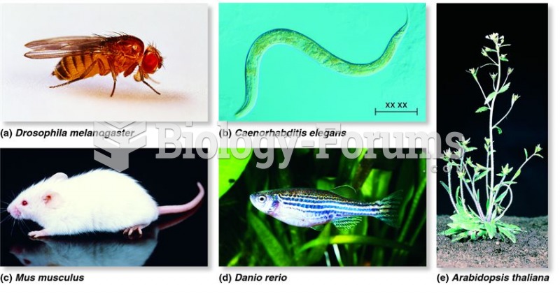 Model organisms used to study the genetics of development
