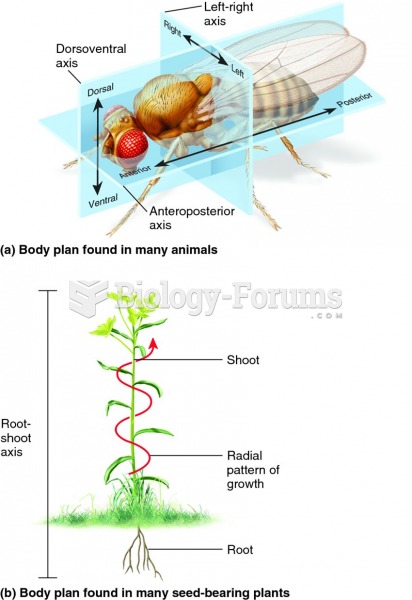 Body plan axes in animals and plants