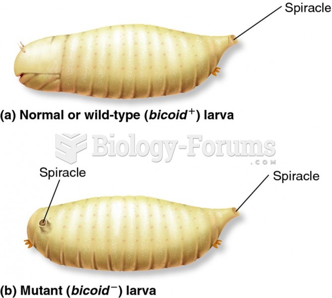 The bicoid mutation in Drosophila.