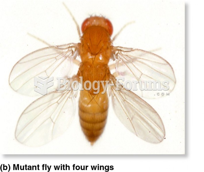 The bithorax mutation in Drosophila