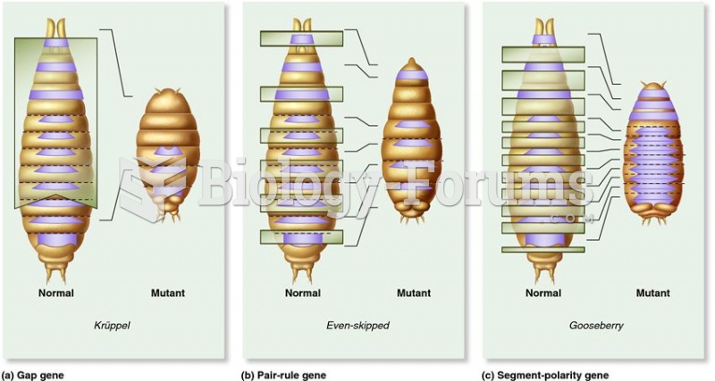 Phenotypic effects in Drosophila larvae that have mutations in segmentation genes