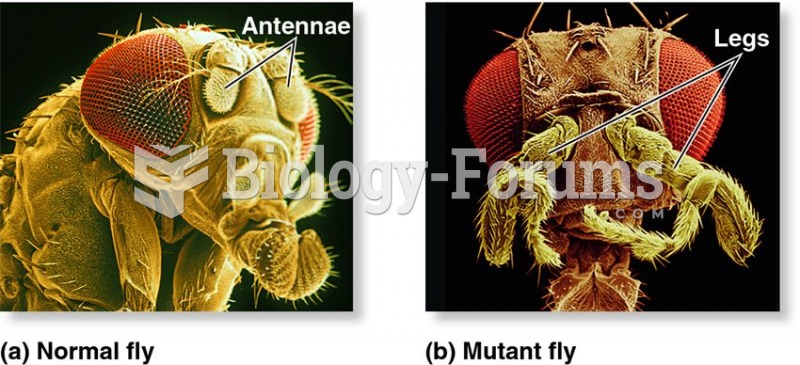 The Antennapedia mutation in Drosophila