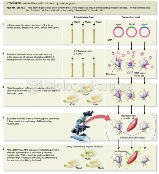 Davis, Weintraub, and Lasser and the promotion of muscle cell differentiation in fibroblasts by the 