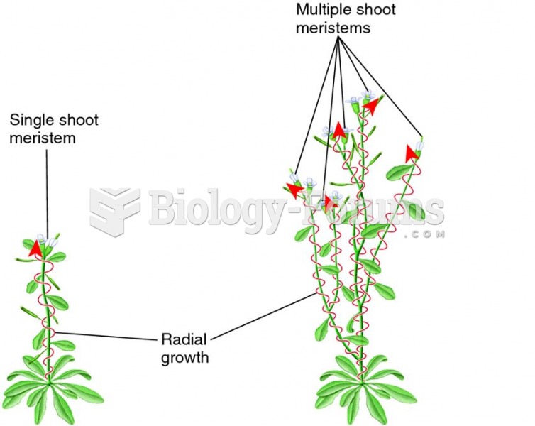 Radial pattern of shoot growth in plants
