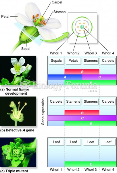 Normal and mutant homeotic gene action in Arabidopsis