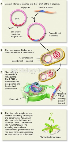 Using the Ti plasmid and Agrobacterium tumefaciens to make transgenic plants