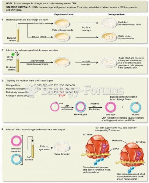 In vitro oligonucleotide site-directed mutagenesis