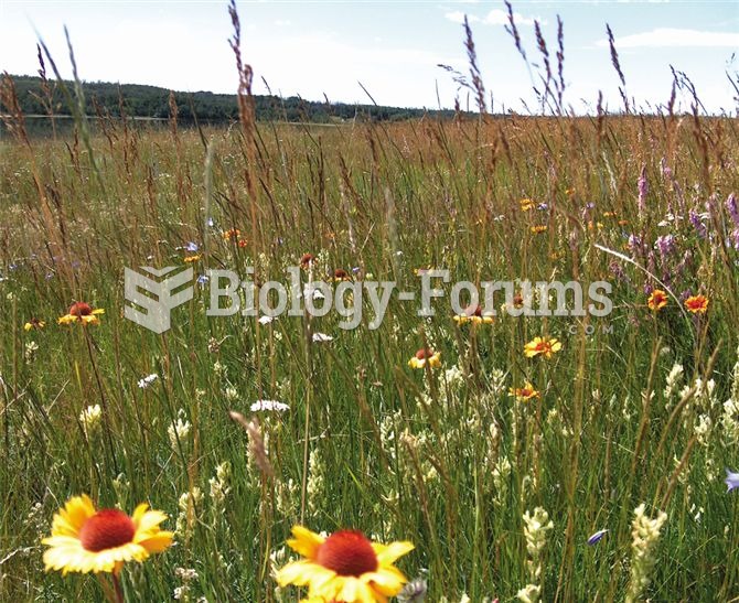 Large numbers of plant species can flower at once in this grassland in Kinsella, Alberta.