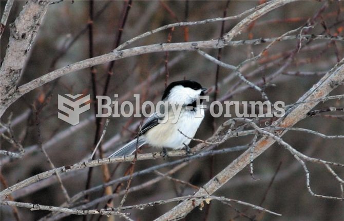 The black-capped chickadee is a permanent resident in biomes with harsh winter conditions.