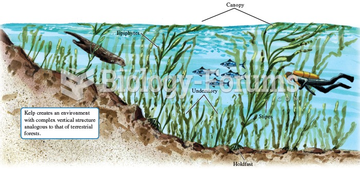 Kelp forest structure.