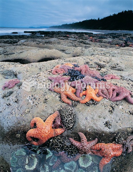 A rocky shore at low tide, showing the great abundance that can be attained by populations of intert