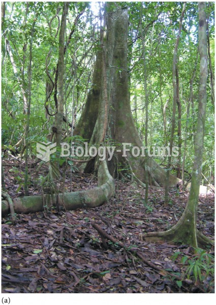 (a) Large buttress roots in a tropical rain forest