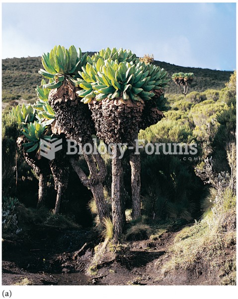 Convergence among tropical alpine plants: (a) Senecio trees on Mount Kilimanjaro, Africa