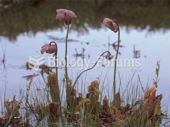 Carnivorous plants, such as this pitcher plant (Sarracenia purpurea) are commonly found in bog habit