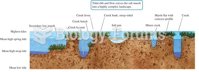 Salt marsh channels shown in cross section.