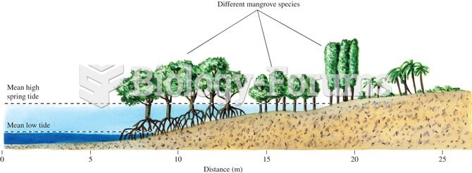 Where mangrove diversity is high, mangrove species show clear patterns of vertical zonation relative