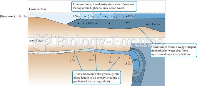 Structure of a salt wedge estuary.