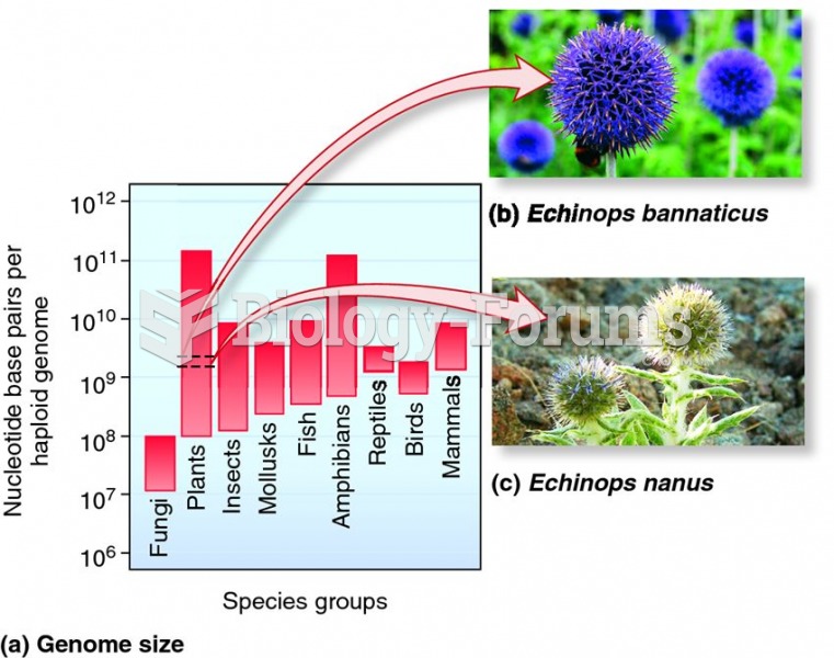 Genome sizes among selected groups of eukaryotes