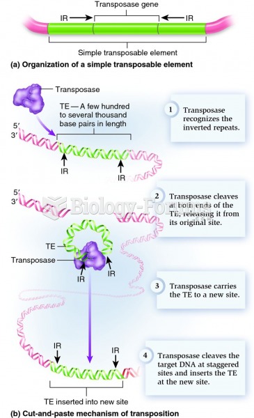 Simple transposable elements and their mechanism of transposition