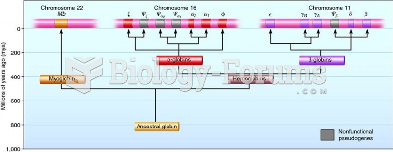 The evolution of the globin gene family in humans